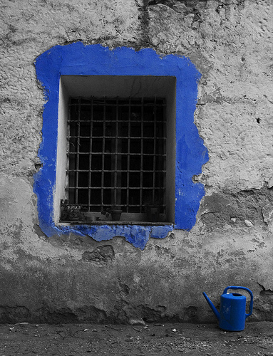 Barranc del cint – Mas del Potro