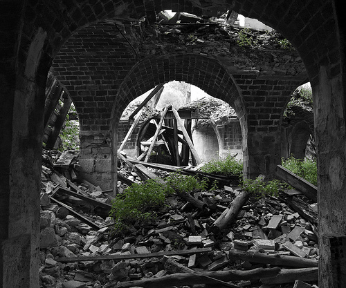 Un año en el olvido