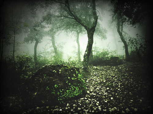 KDD AFALI en Alcoi – Preventori – Font Roja