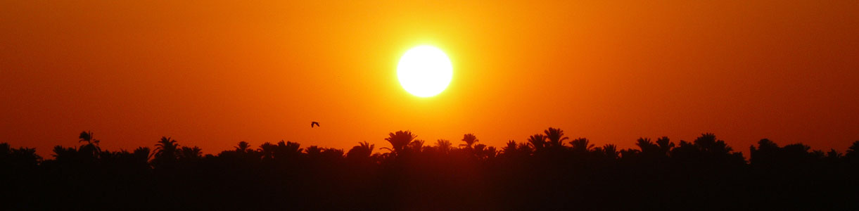 Egipto | Dia 6 | Aswan – Kom-Ombo